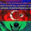 Али Ахмедов